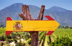 OMGD Insightful Overview of the wines of Spain