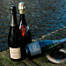 OMGD Spring Champagne Tasting in the Binnenmaas