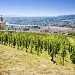 OMGD: Deep Dive into Northern Rhone