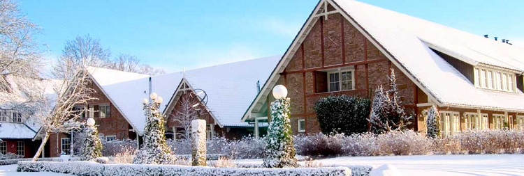 Kerstdiner met middagprogramma bij Landhuishotel de Bloemenbeek*